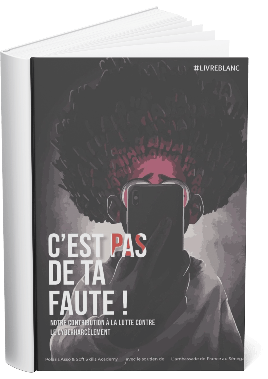 Desinformation-genree_-Formes-Impacts-et-Enjeux